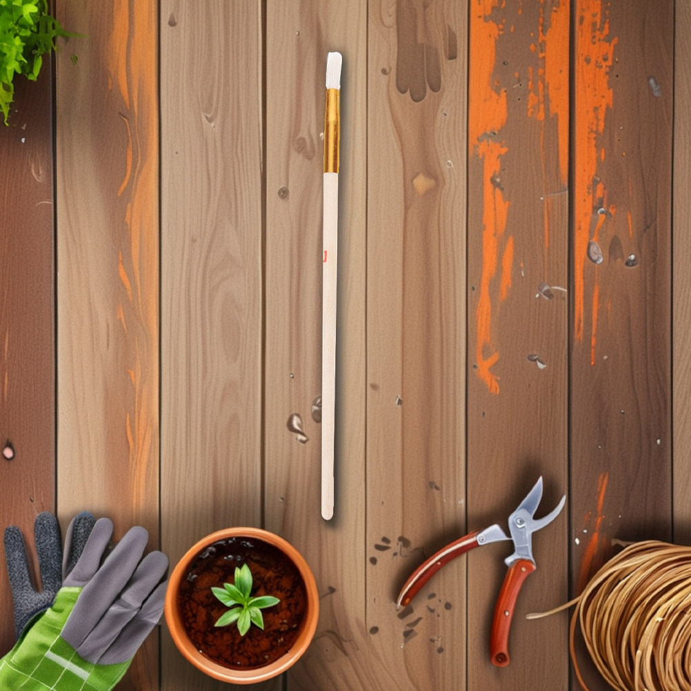 10 spazzole per l’impollinazio - Indoor Plants recensione e prezzo