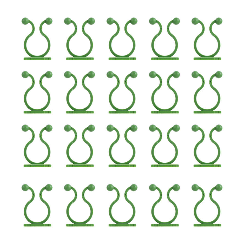 80 ganci adesivi per fissare p - Pothos recensione e prezzo