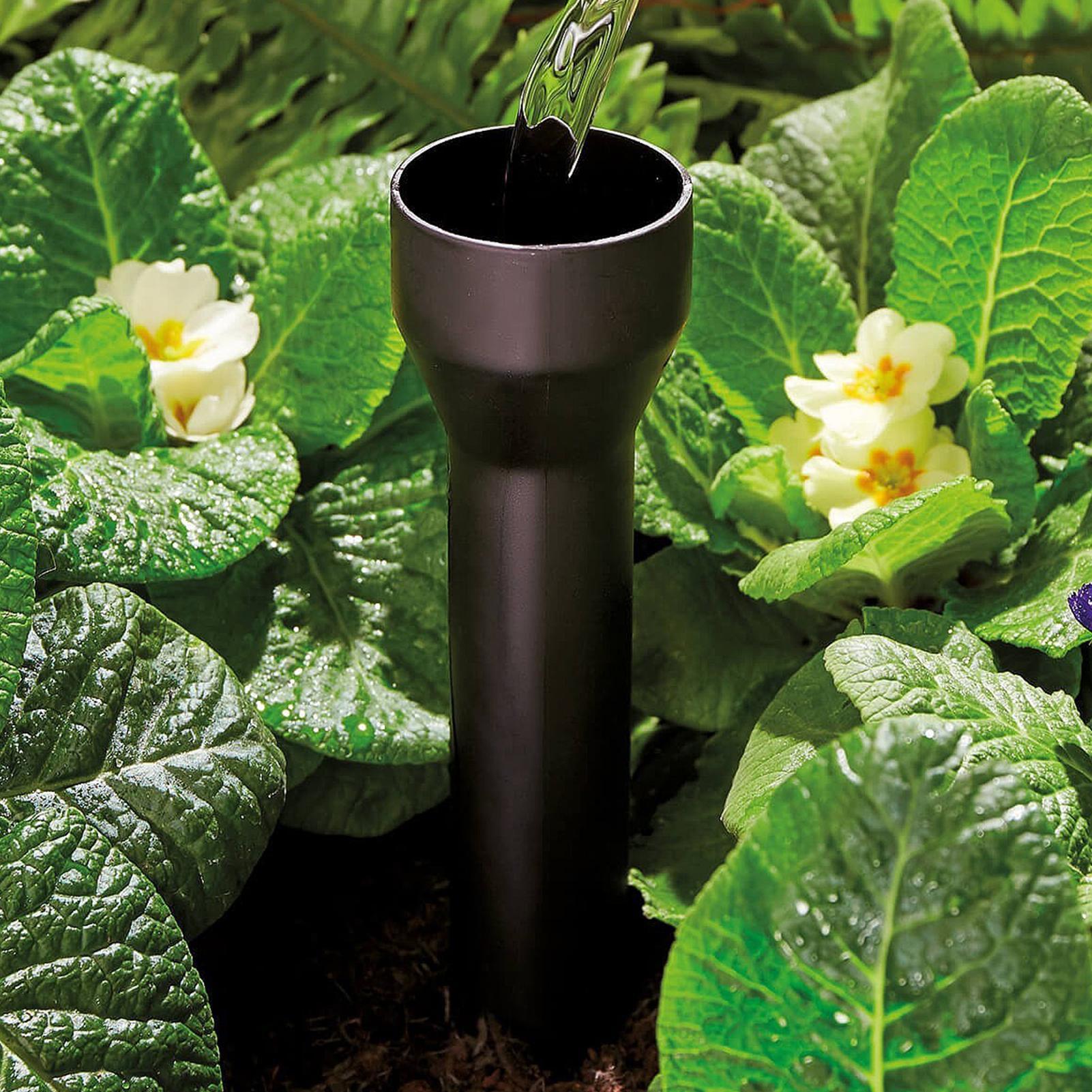 Picchetti per Irrigazione da G - Pothos recensione e prezzo