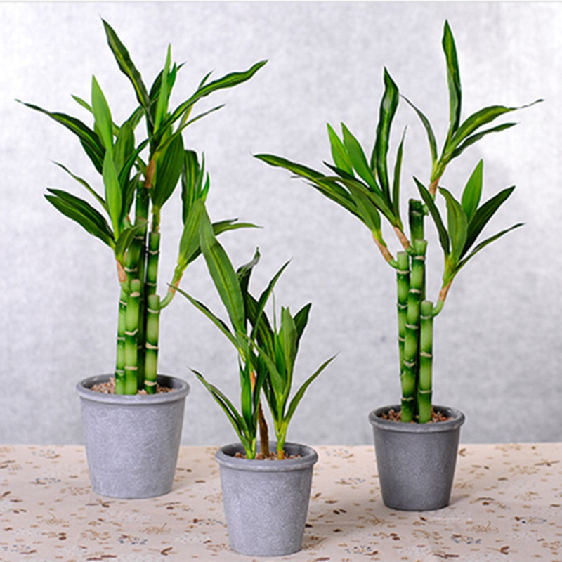 Nuova Pianta Artificiale di Ba - Snake Plant recensione e prezzo
