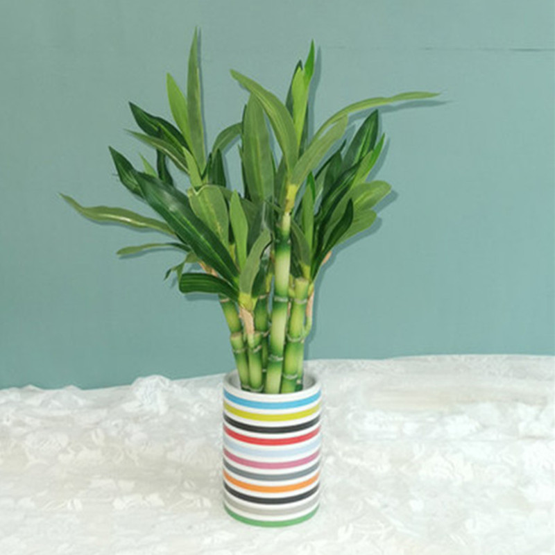 Nuova Pianta Artificiale di Ba - Snake Plant recensione e prezzo