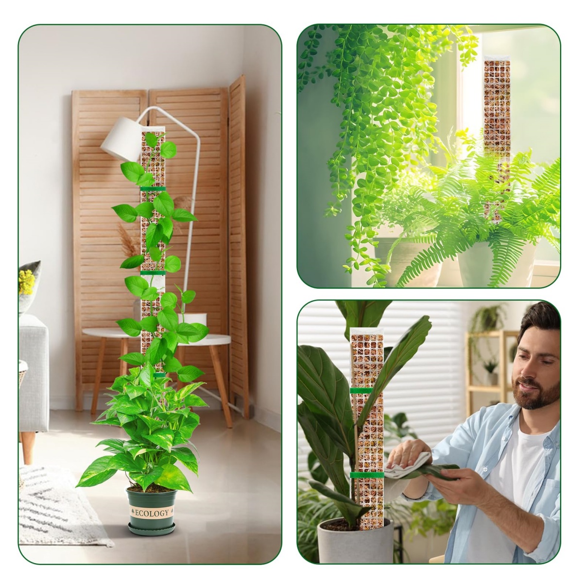 Palo in plastica impilabile pe - Plant Support Stake recensione e prezzo