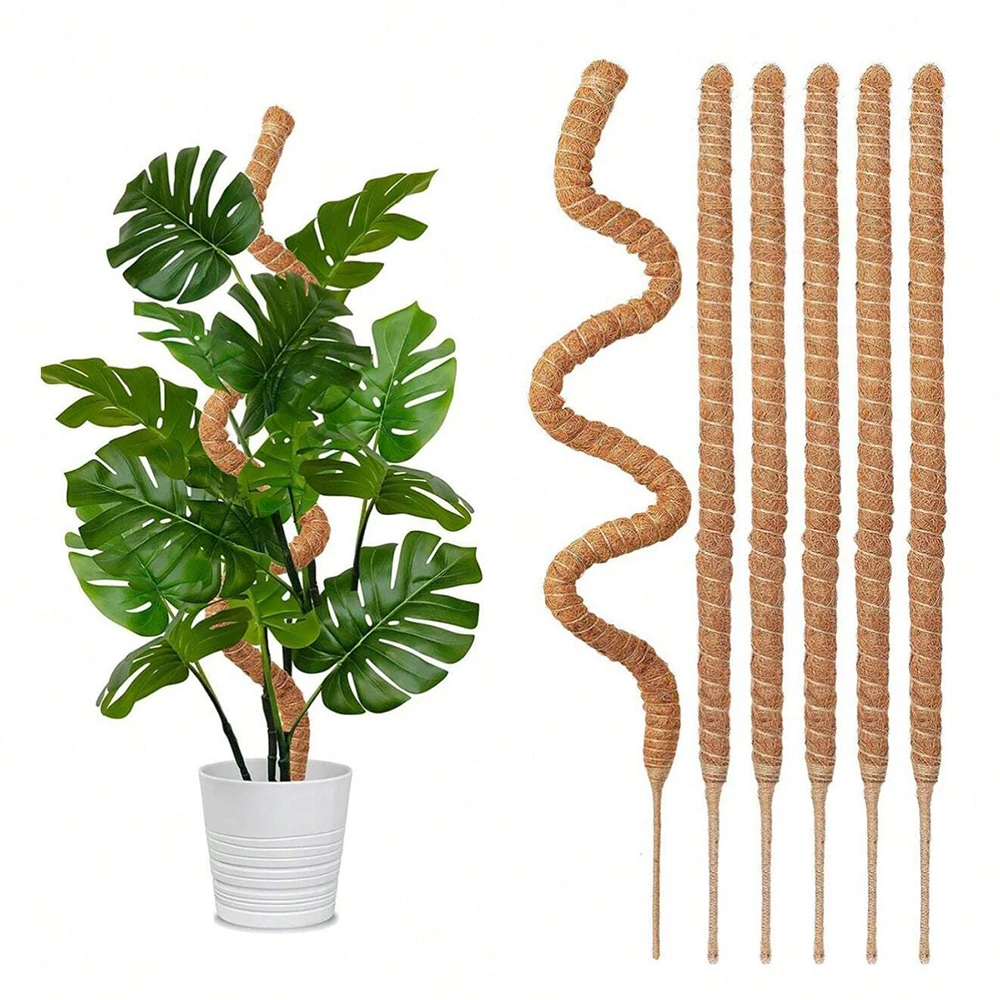 Pali di supporto in muschio pe - Plant Support Stake recensione e prezzo