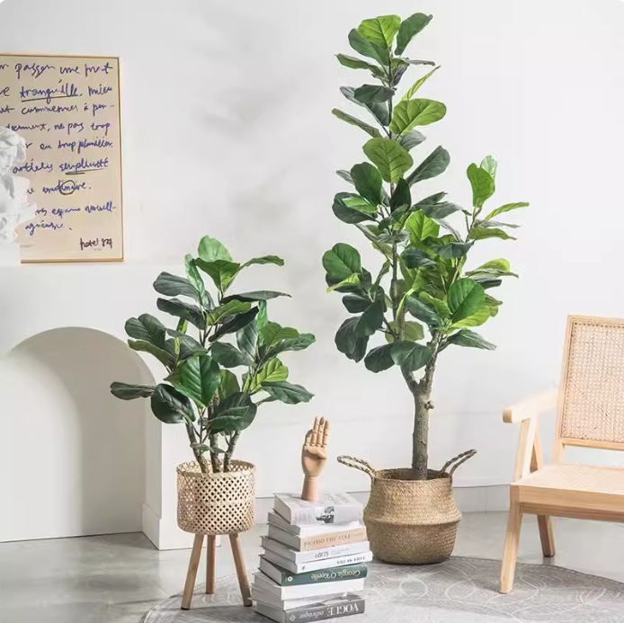 Pianta artificiale in vaso di  - Fiddle Leaf Fig recensione e prezzo