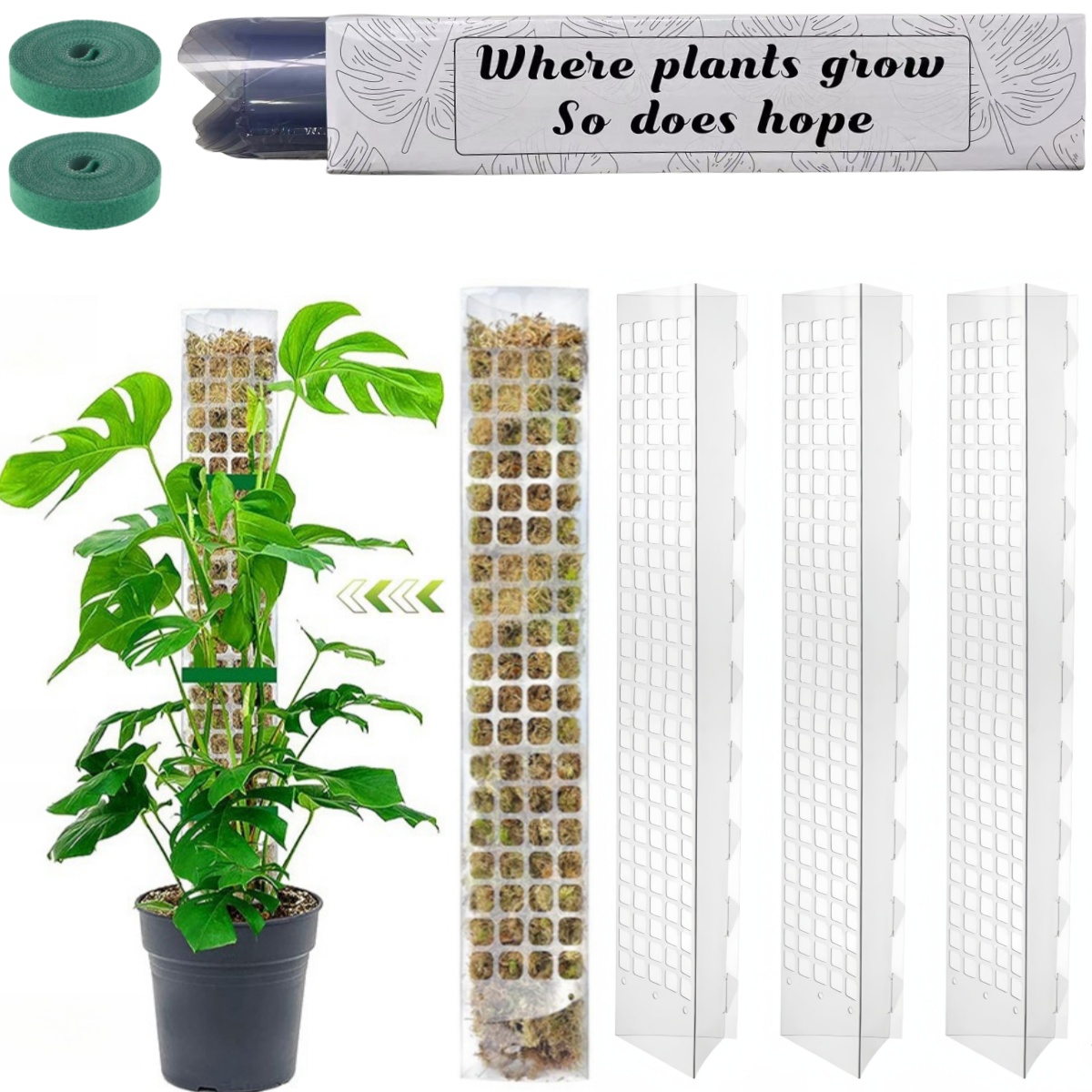 Supporto per piante in plastic - Plant Support Stake recensione e prezzo