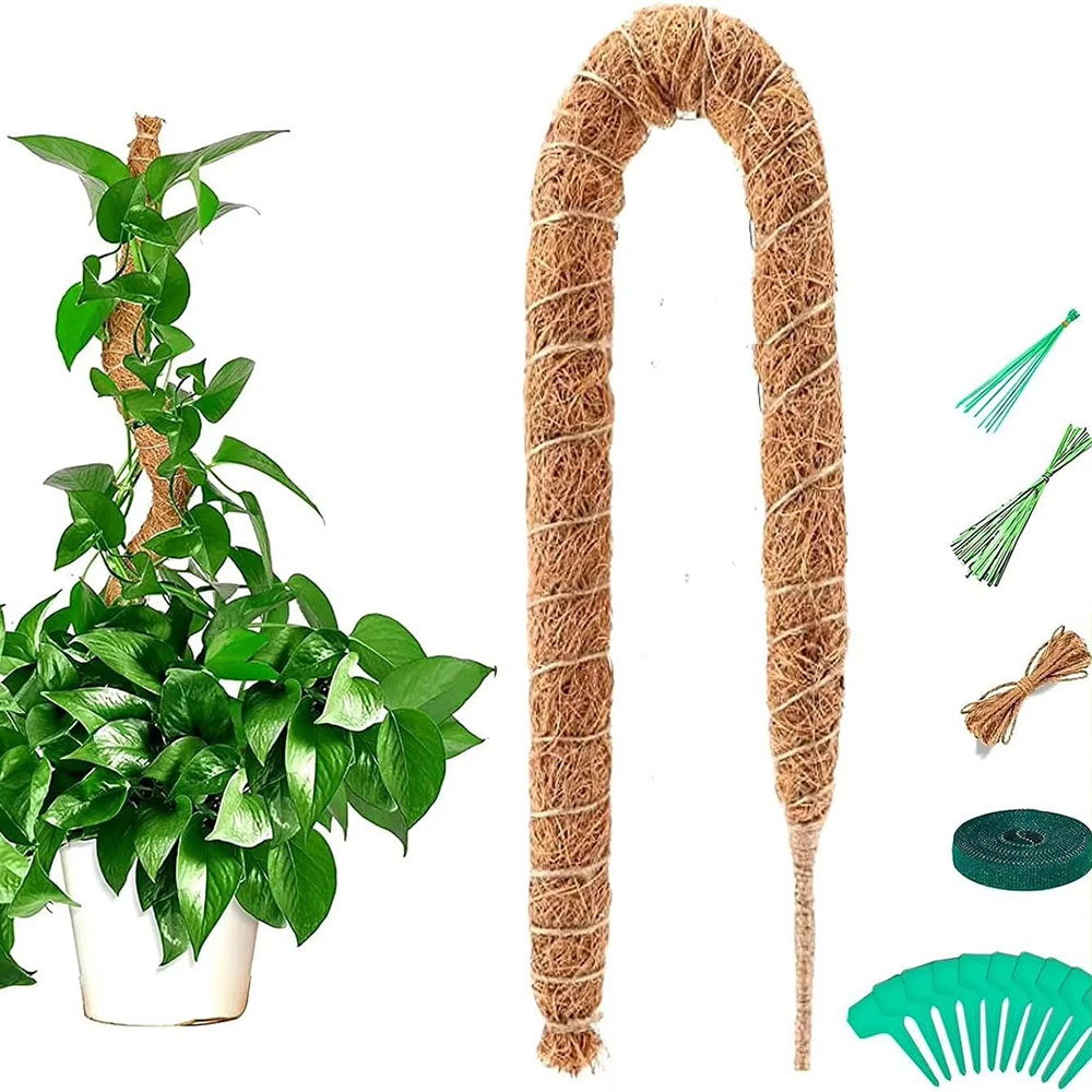 Supporto per Piante Rampicanti - Pothos recensione e prezzo