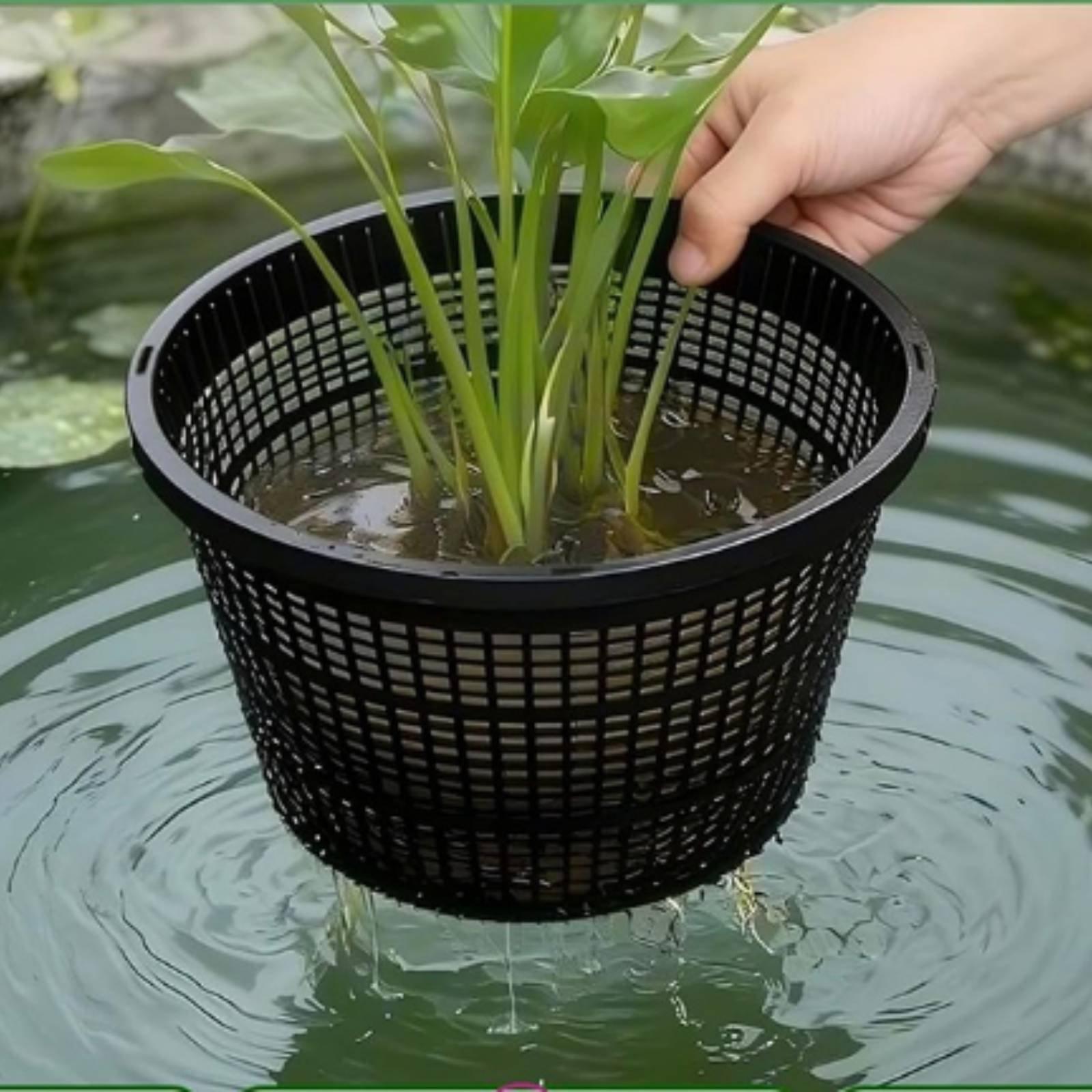 Vaso Idroponico con Bordo Larg - Plant Pot recensione e prezzo
