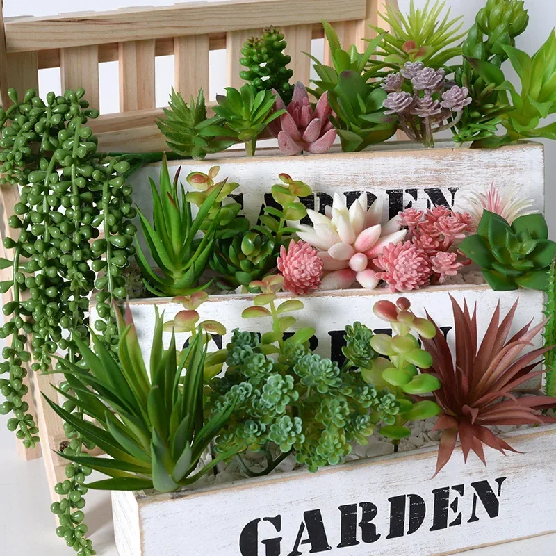 10/20 Pezzi Piante Succulente  - Snake Plant recensione e prezzo